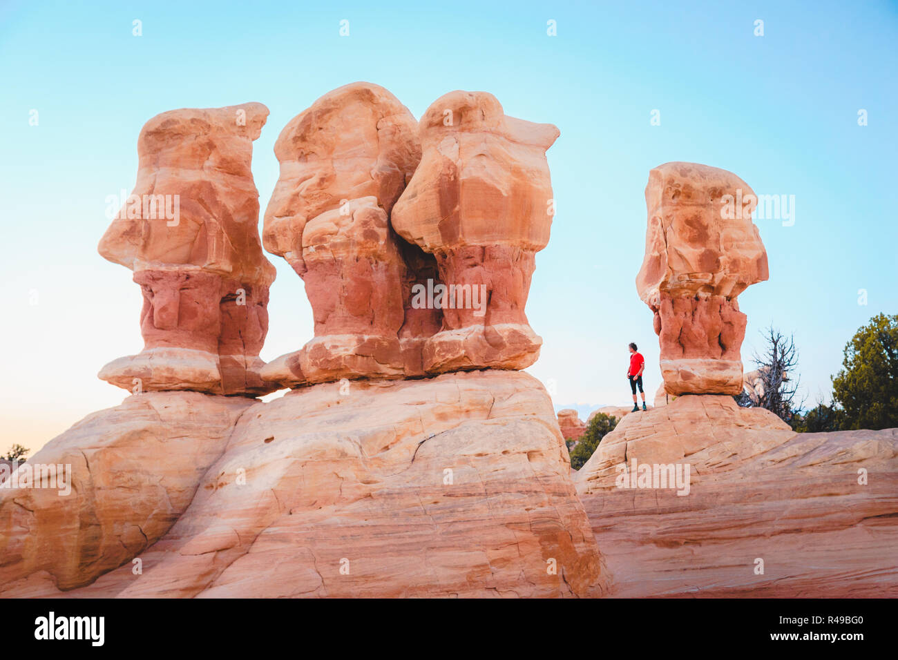 Beautiful view of male hiker standing between amazing Four Hoodoos sandstone formations in Devil's Garden in beautiful evening light at sunset, Grand  Stock Photo