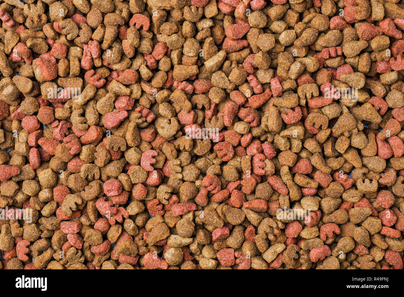 Can I Mix Cat Food With Dog Food