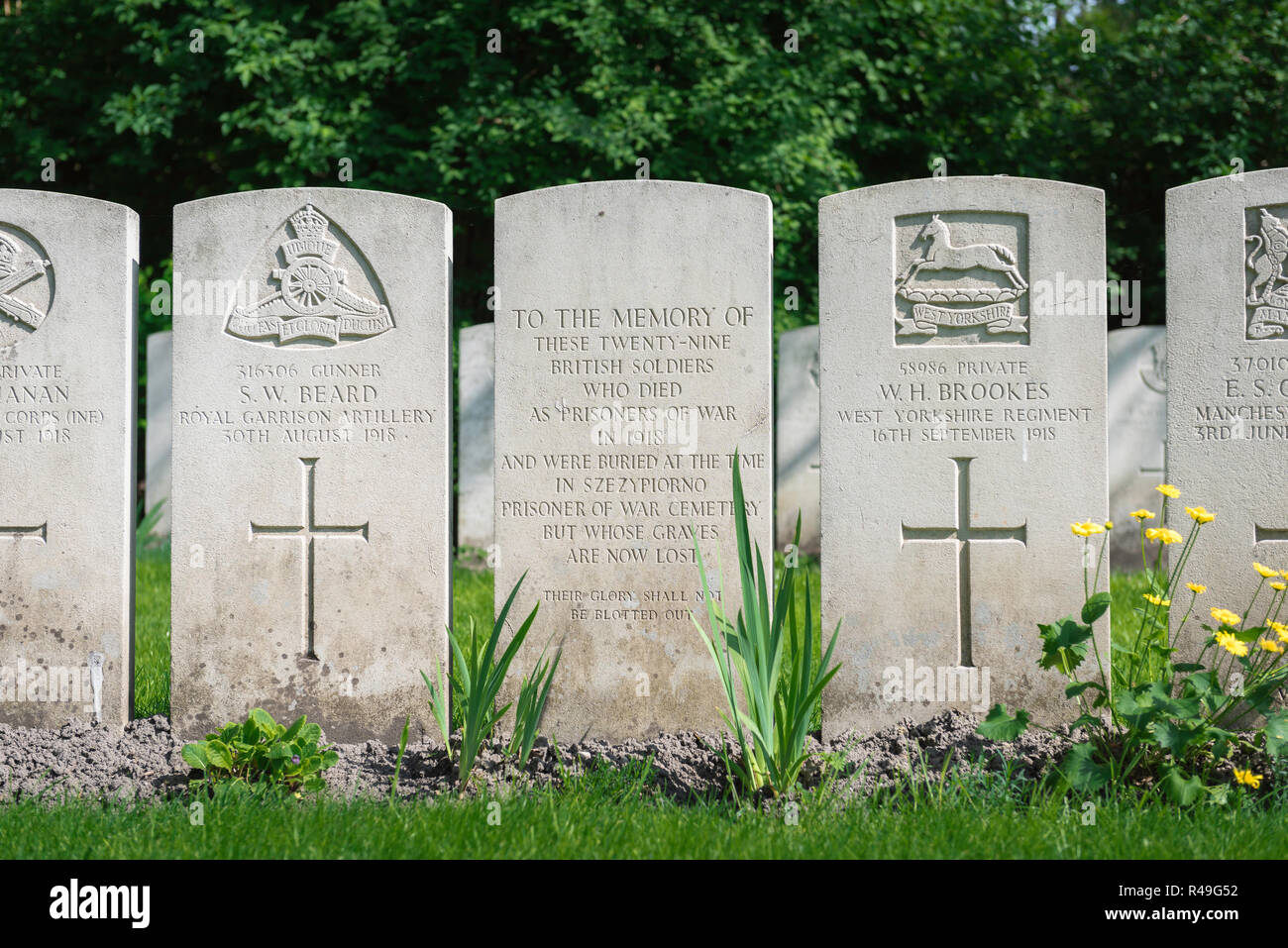 British Commonwealth war grave, headstones marking the graves of known and unknown British soldiers in the Garrison Cemetery in Poznan (Posen), Poland Stock Photo