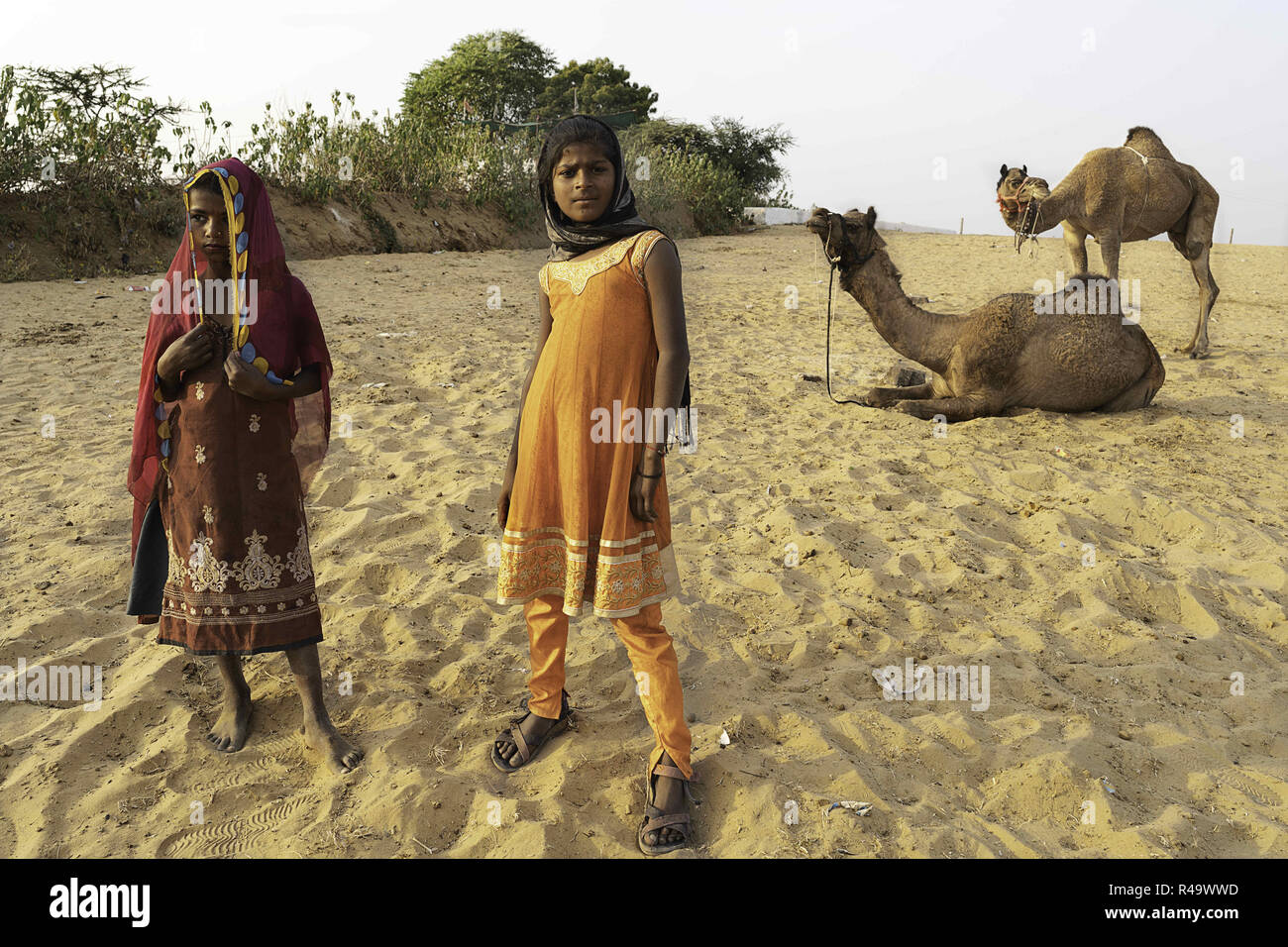 Ajmer, Rajasthan, India. 7th July, 2018. Indian Gypsies are seen at the camel fair.Held each November at the time of the Kartik Purnima full moon, Pushkar Camel Fair is one of India's most highly-rated travel experiences, a spectacle on an epic scale, attracting thousands of camels and visited by thousands of people over a period of around fourteen days. Credit: Enzo Tomasiello/SOPA Images/ZUMA Wire/Alamy Live News - Stock Image