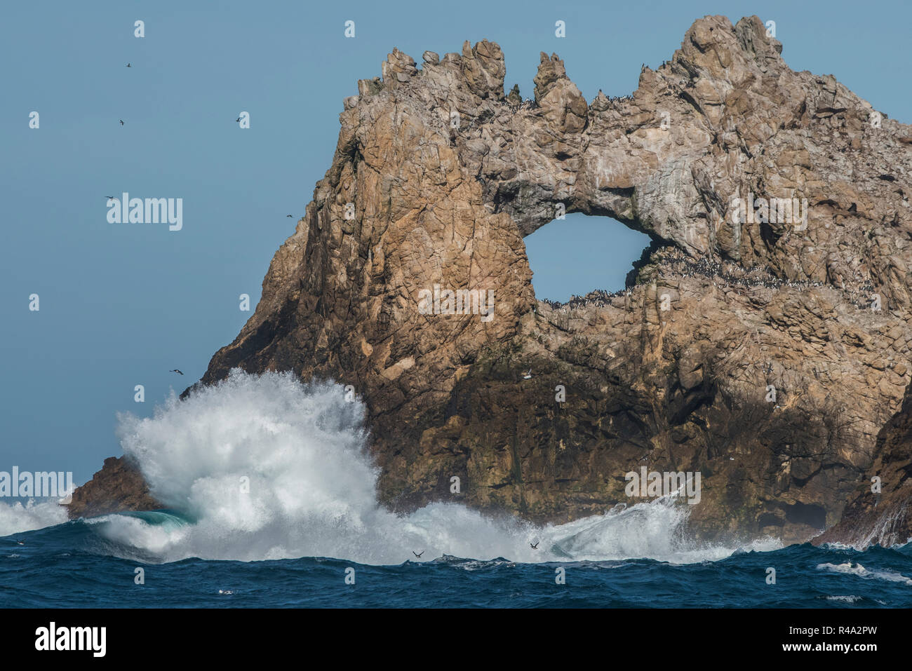 Waves crashing into the Farallon islands and a naturally formed rock arch along the shoreline. Stock Photo