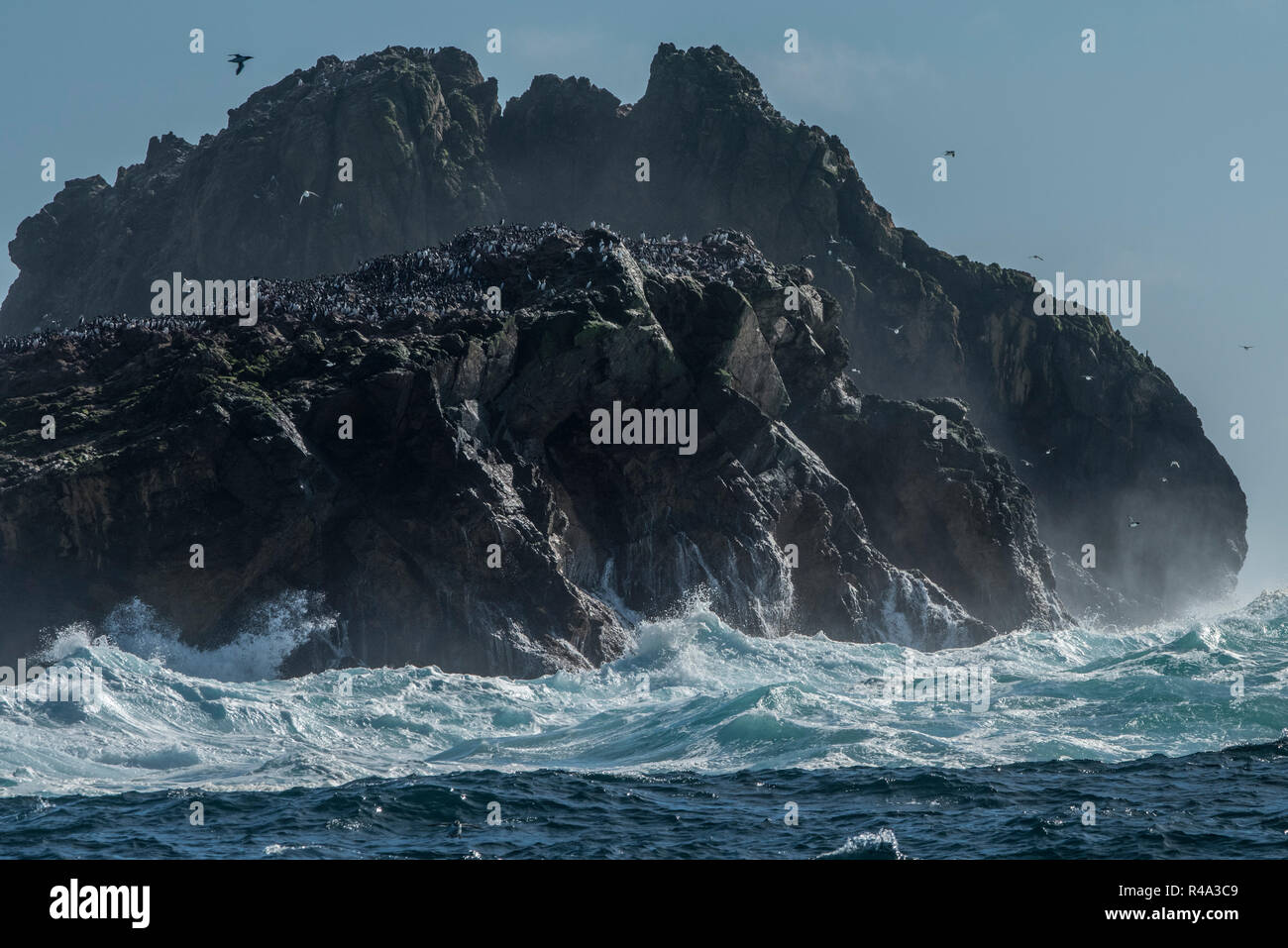 The waves crash against the shore of the Farallon islands off the coast of California, the islands are an important nesting site for pelagic birds. Stock Photo