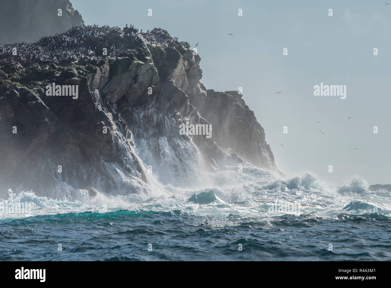 The waves crash against the shore of the Farallon islands off the coast of California, the islands are an important nesting site for pelagic birds. Stock Photo