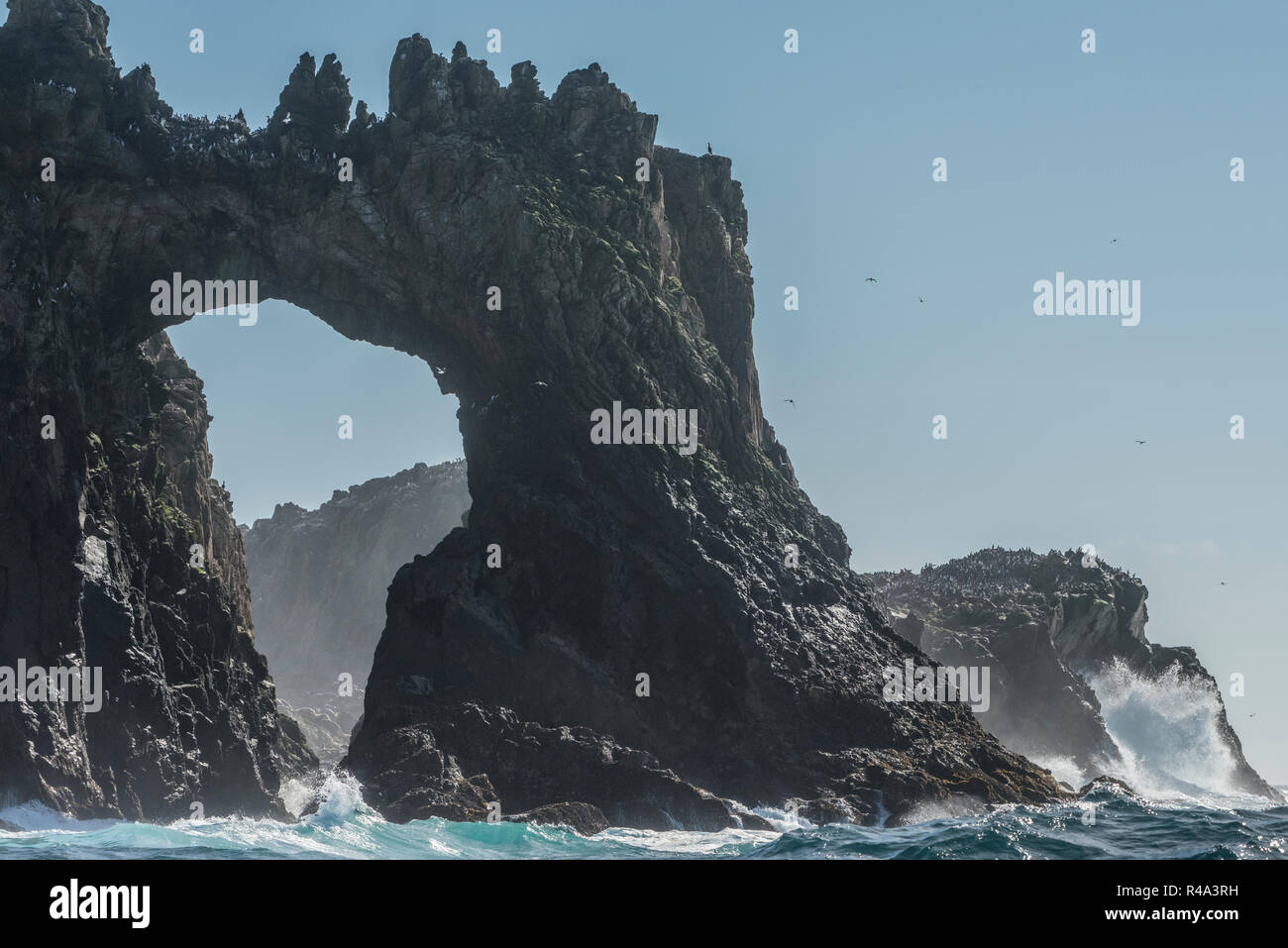A naturally formed rock arch at the Farallon islands, California. Stock Photo