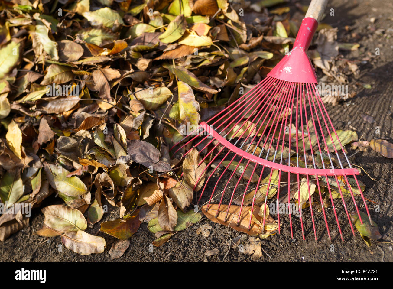 Using rake close up hi-res stock photography and images - Alamy