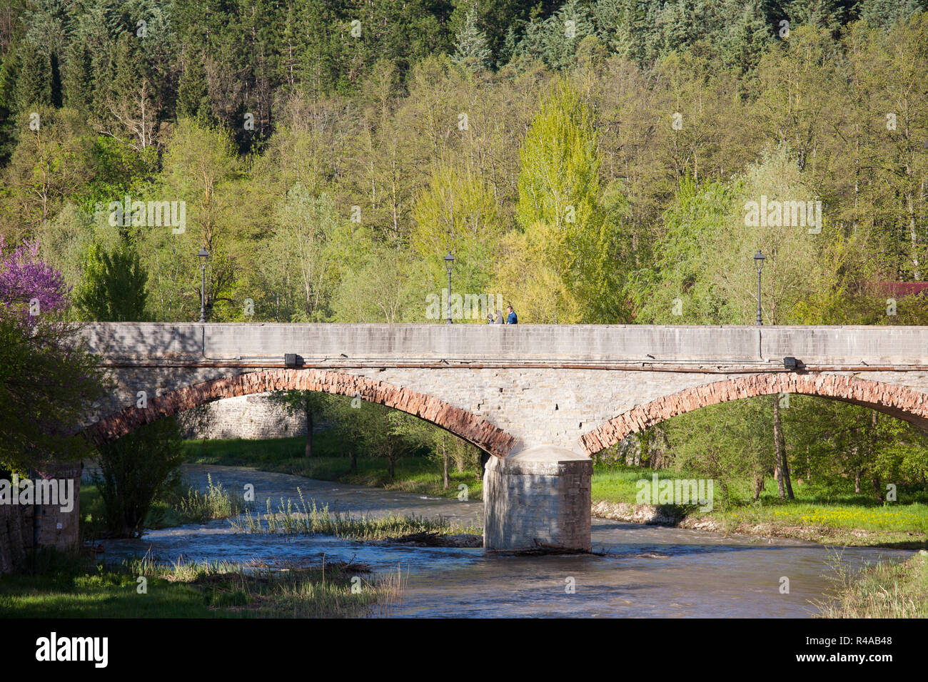 bridge on the river montone, rocca san casciano, emilia romagna, italy, europe Stock Photo