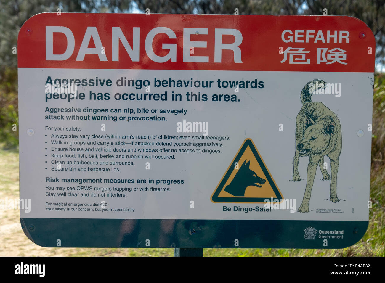 Warning signs concerning dingos (Canis lupus dingo) on Fraser Island, Queensland, Australia Stock Photo