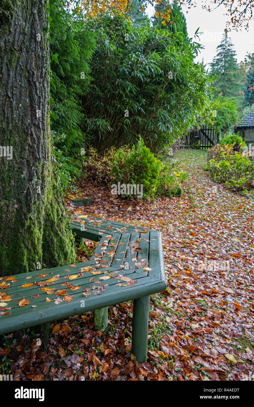 Bench around tree trunk deals