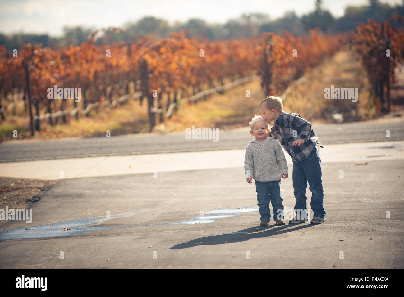 Big brother kisses little brother by a vineyard that's dormant for the winter. Stock Photo