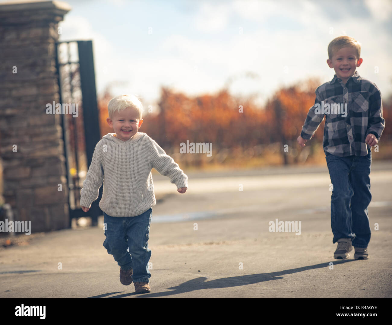 Two little boys play by a vineyard that's dormant for the winter. Stock Photo