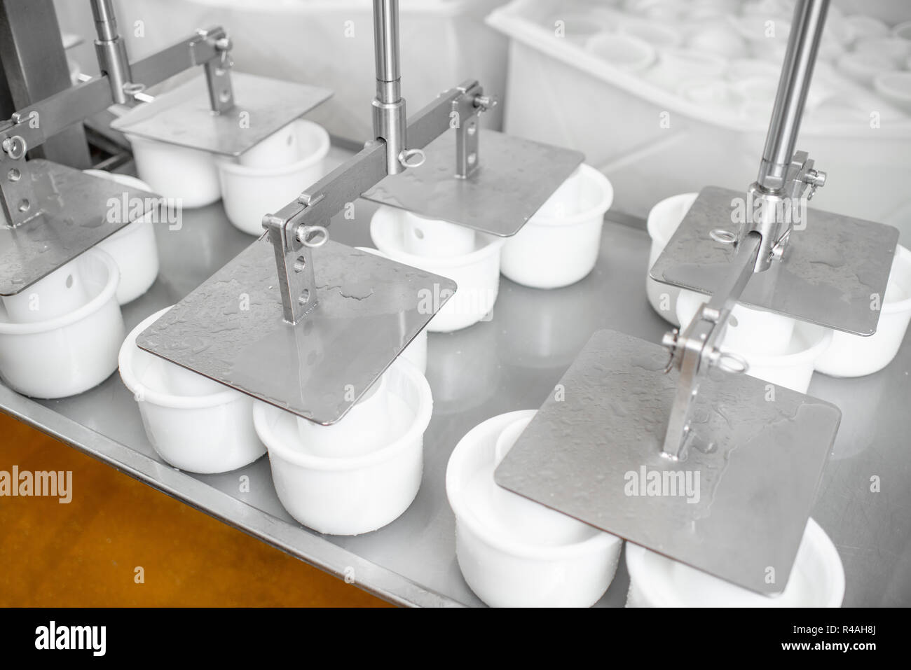 Pressing cheese in the plastic molds with professional press machine at