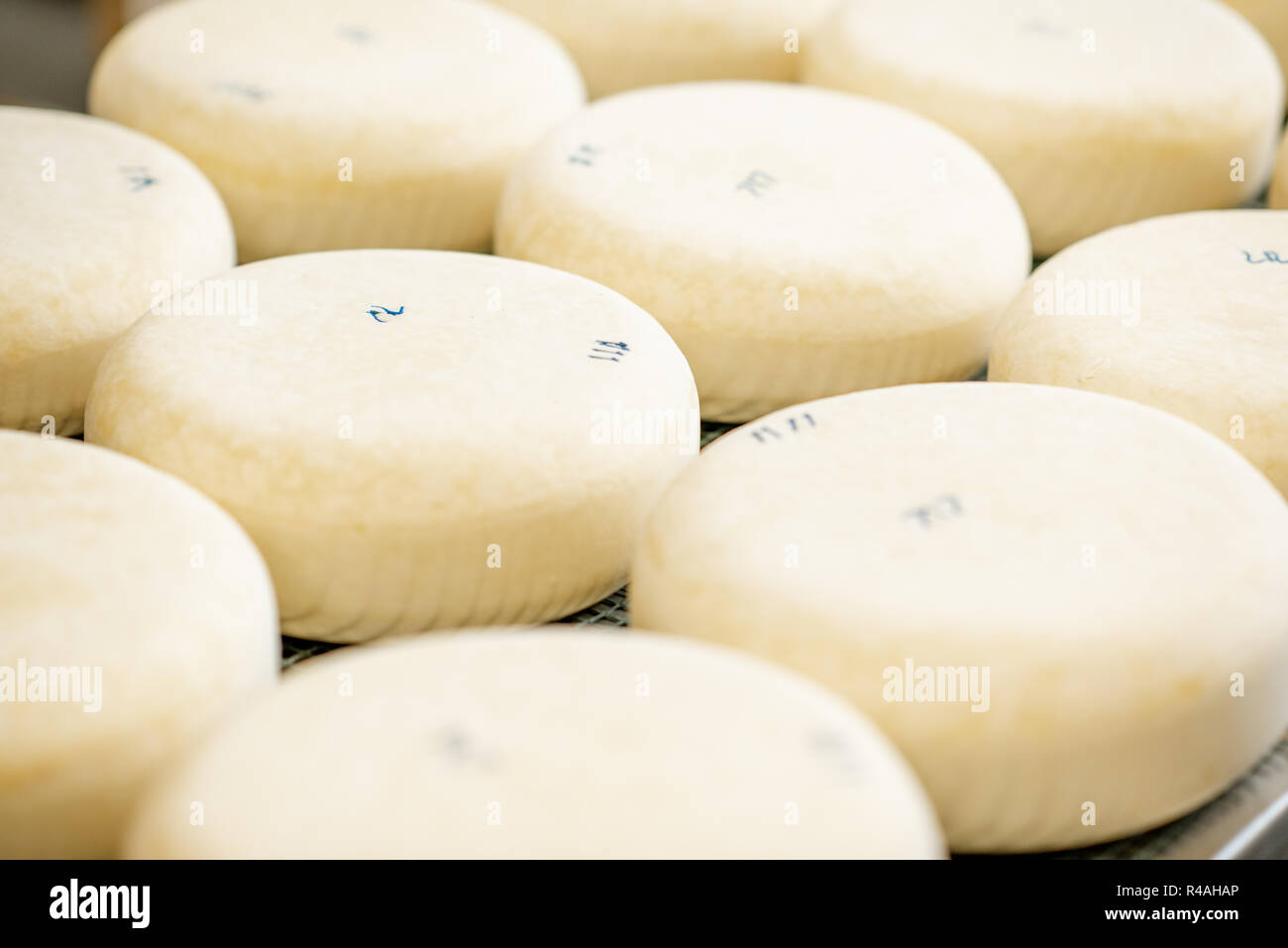 Dairy processing factory hi-res stock photography and images - Alamy
