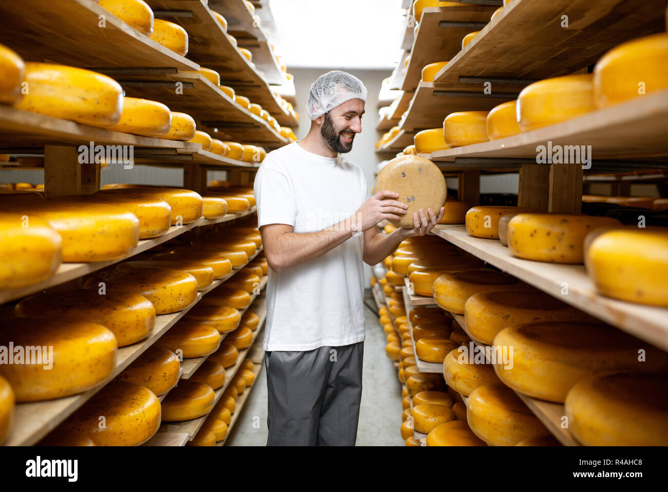 https://c8.alamy.com/comp/R4AHC8/worker-checking-the-cheese-quality-at-the-storage-with-shelves-full-of-cheese-wheels-during-the-aging-process-R4AHC8.jpg