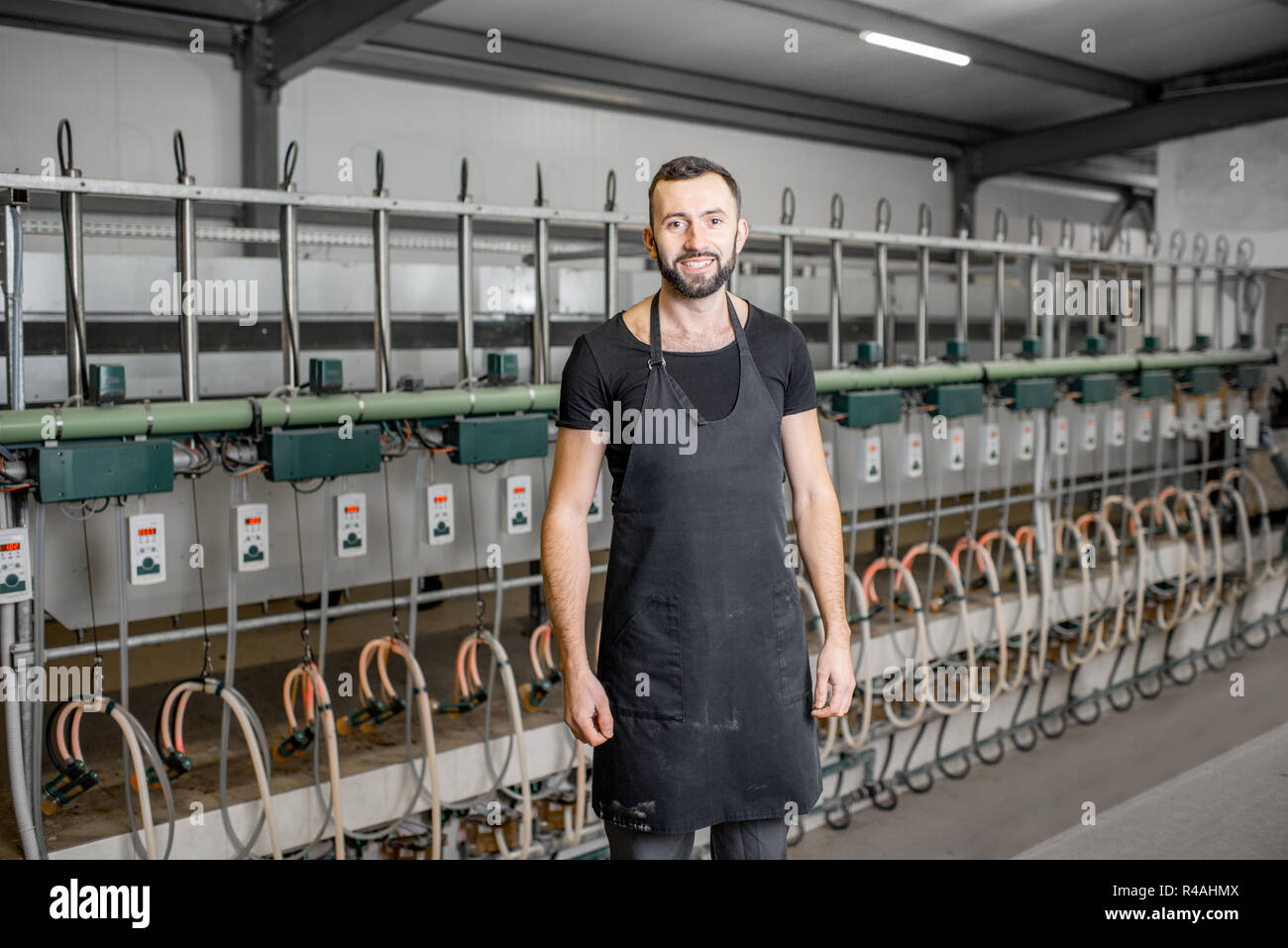 Portrait of a male worker in black uniform standing at the goat farm with milking line on the background Stock Photo