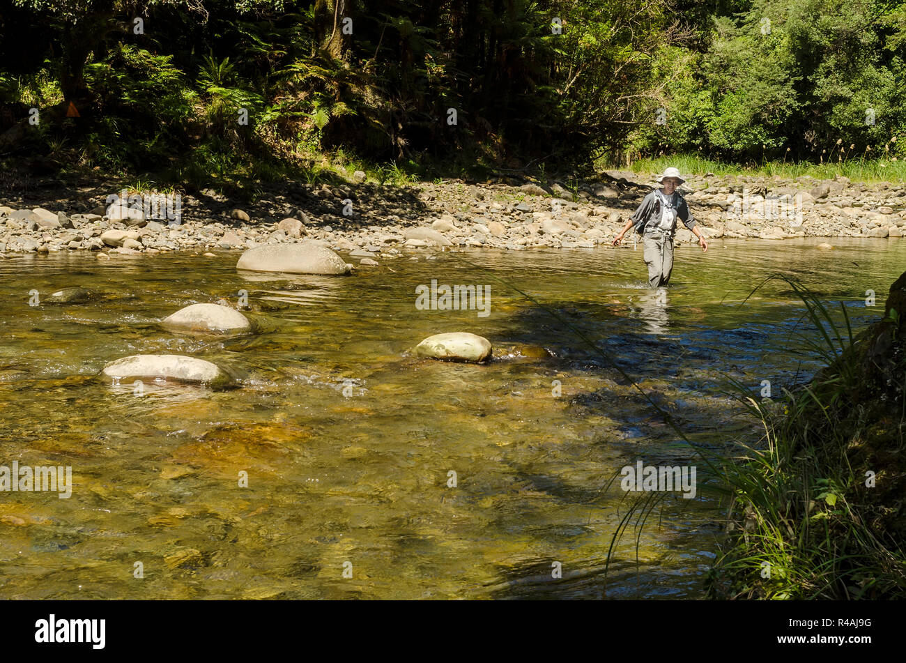 Female hiker crossing river on a tramping holidays in New Zealand Stock Photo