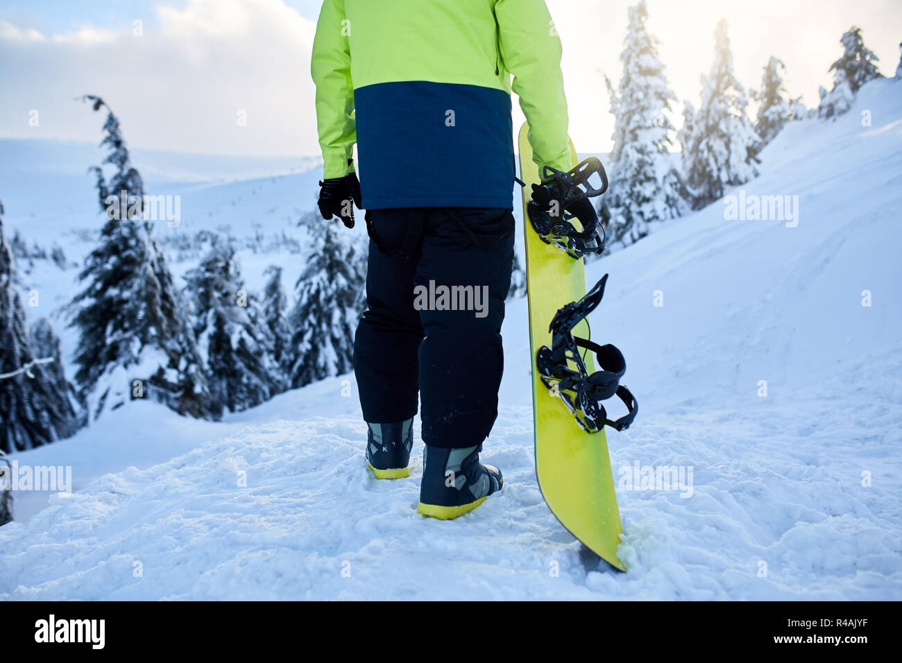 Back view of snowboarder climbing with his board on the mount for backcountry freeride session in the forest. Man with snowboard walking at ski resort. Rider lime fashionable outfit. Stock Photo