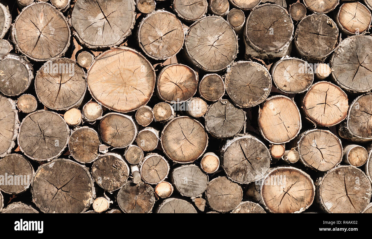 Stacks of chopped logs background Stock Photo
