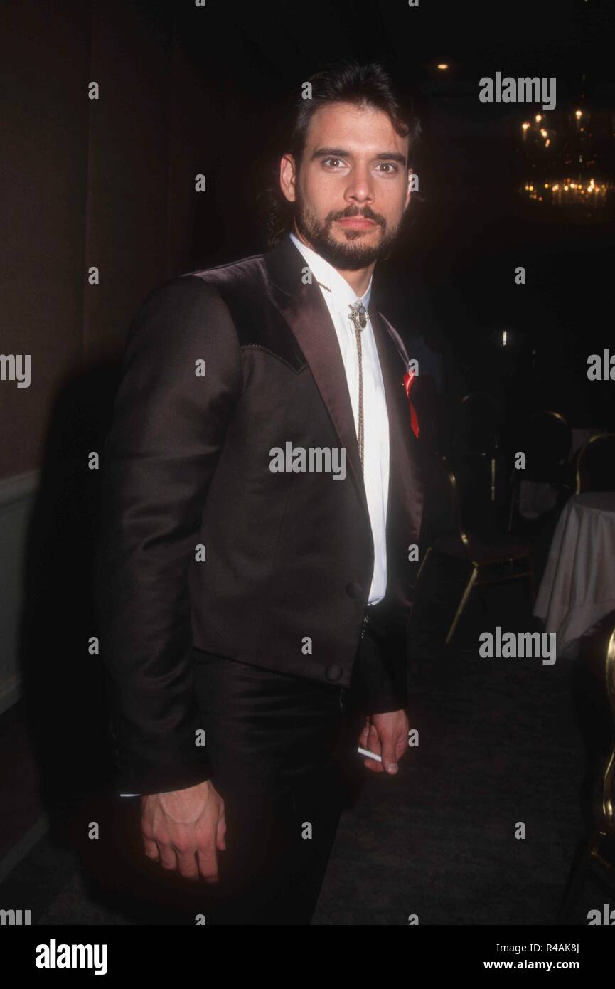 BEVERLY HILLS, CA - FEBRUARY 26: Actor Robert Kelker-Kelly attends the Ninth Annual Soap Opera Digest Awards on February 26, 1993 at the Beverly Hilton Hotel in Beverly Hills, California. Photo by Barry King/Alamy Stock Photo Stock Photo