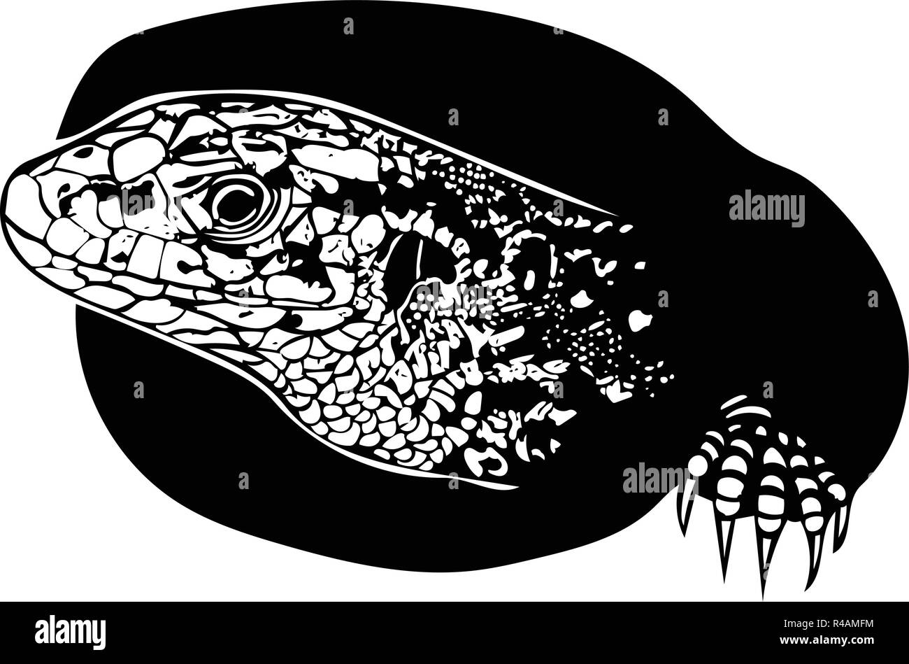Vector graphic of female sand lizard peeking out of burrow before laying eggs with only head and one claw visible. Stock Vector