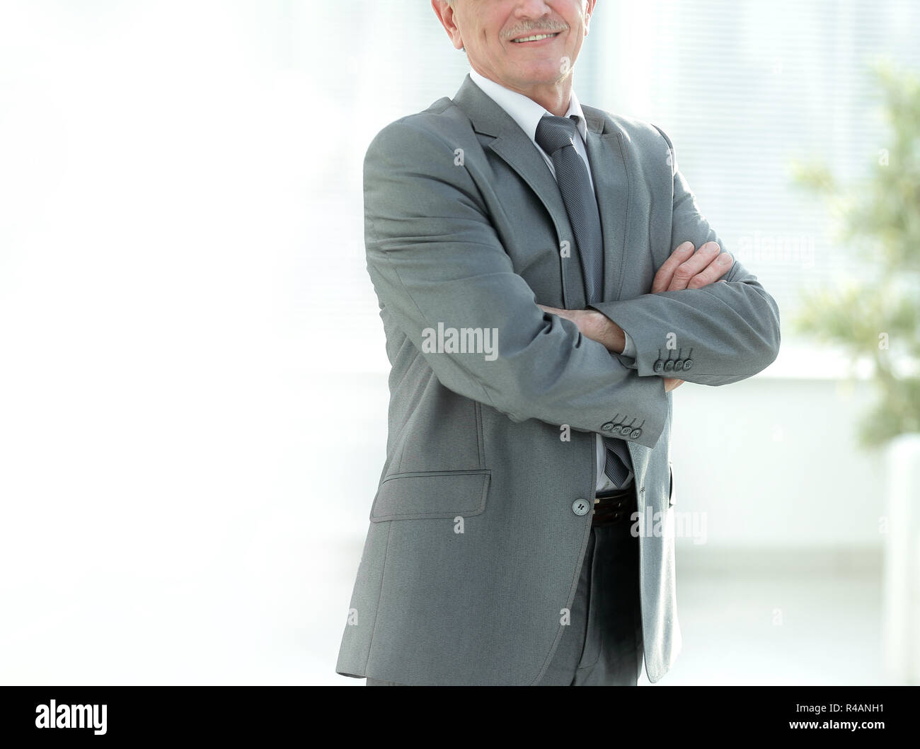 portrait of a successful Mature businessman in modern office Stock ...