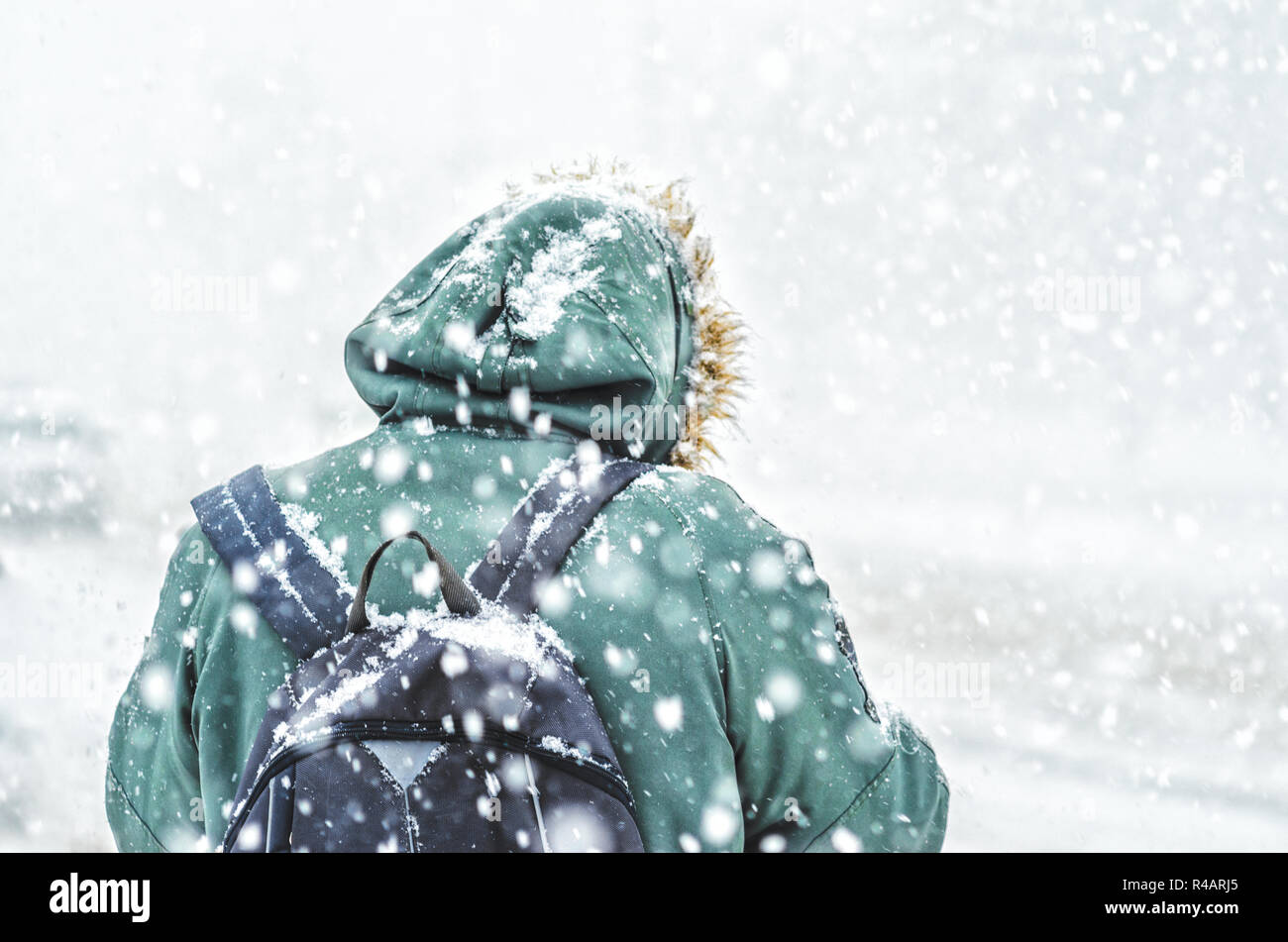 Back view of man in green jacket with backpack in hood in blizzard