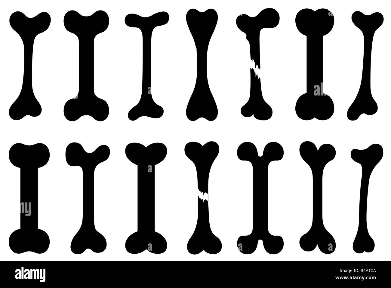 Dog skeleton Black and White Stock Photos & Images Alamy