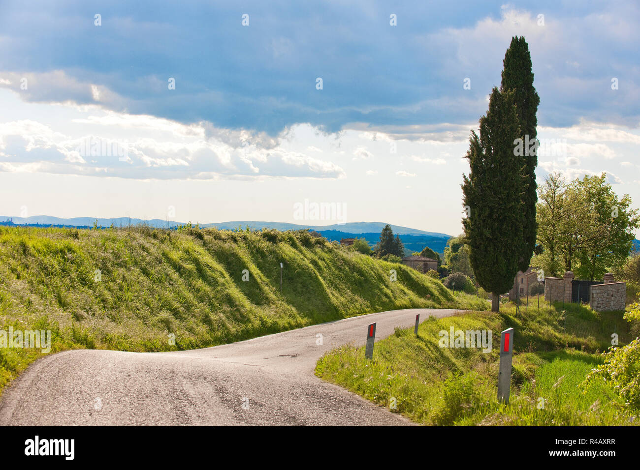 Country road, cypresses, Tuscany, Italy, Europe, (Cupressus sempervirens) Stock Photo