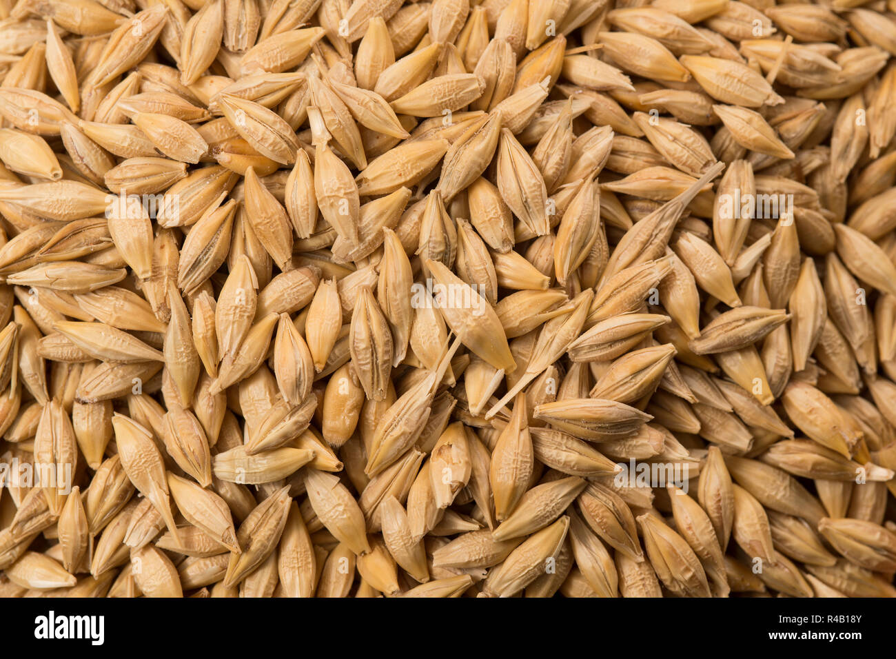 Hulled barley hi-res stock photography and images - Alamy