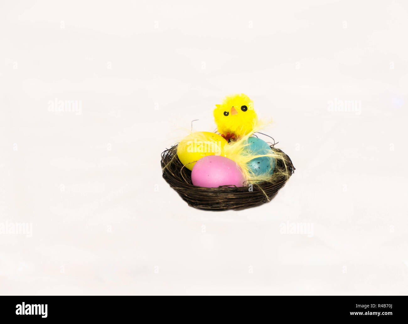 Easter chick on nest with three eggs Stock Photo