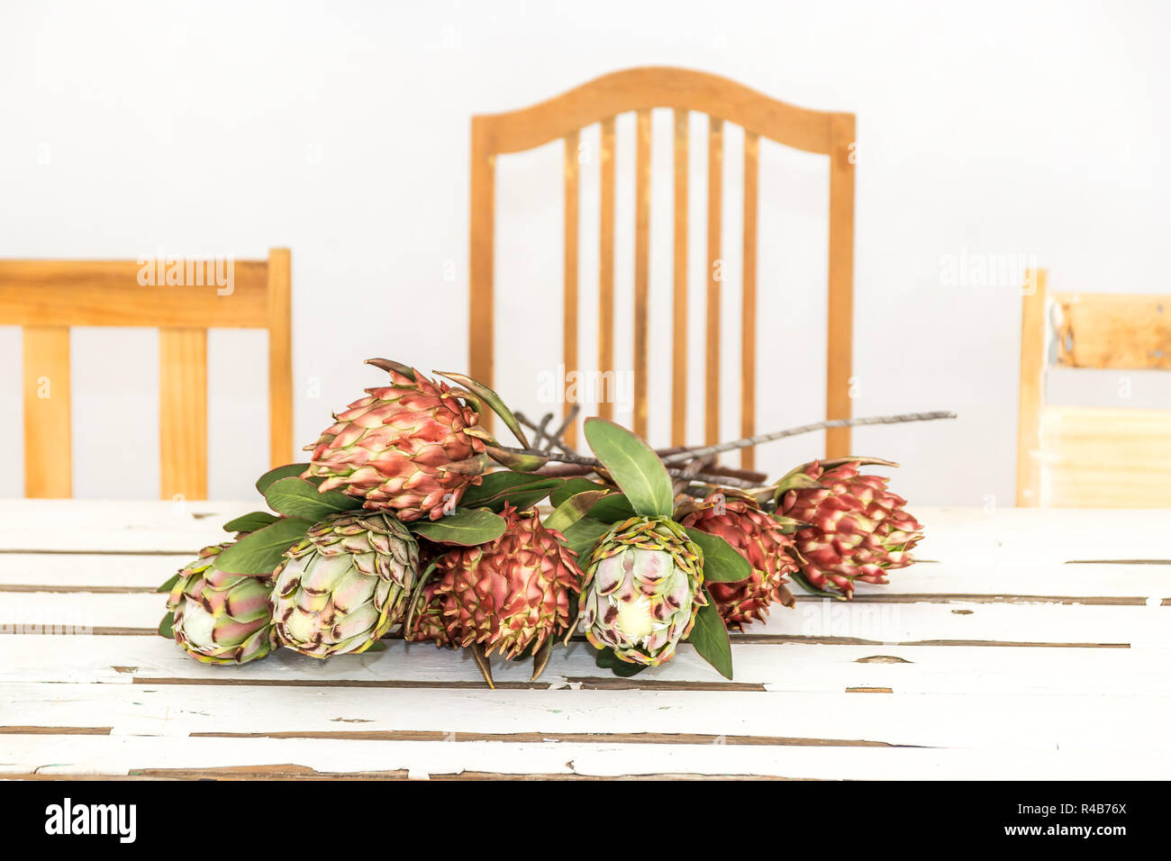 Vintage white wash wooden table with orange and green proteas, flowers Stock Photo