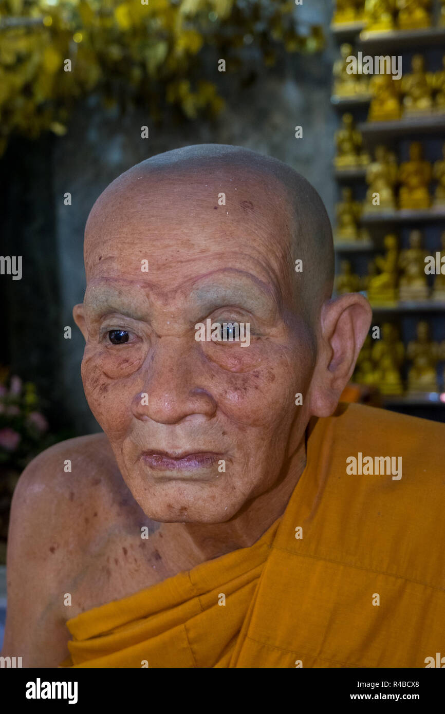 Wax human hires stock photography and images Alamy