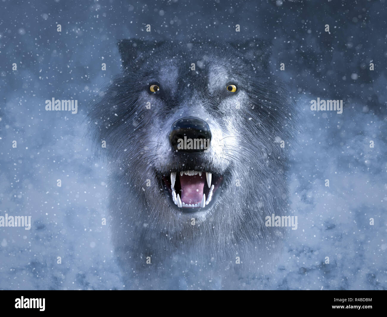 Grey wolf growling hi-res stock photography and images - Alamy