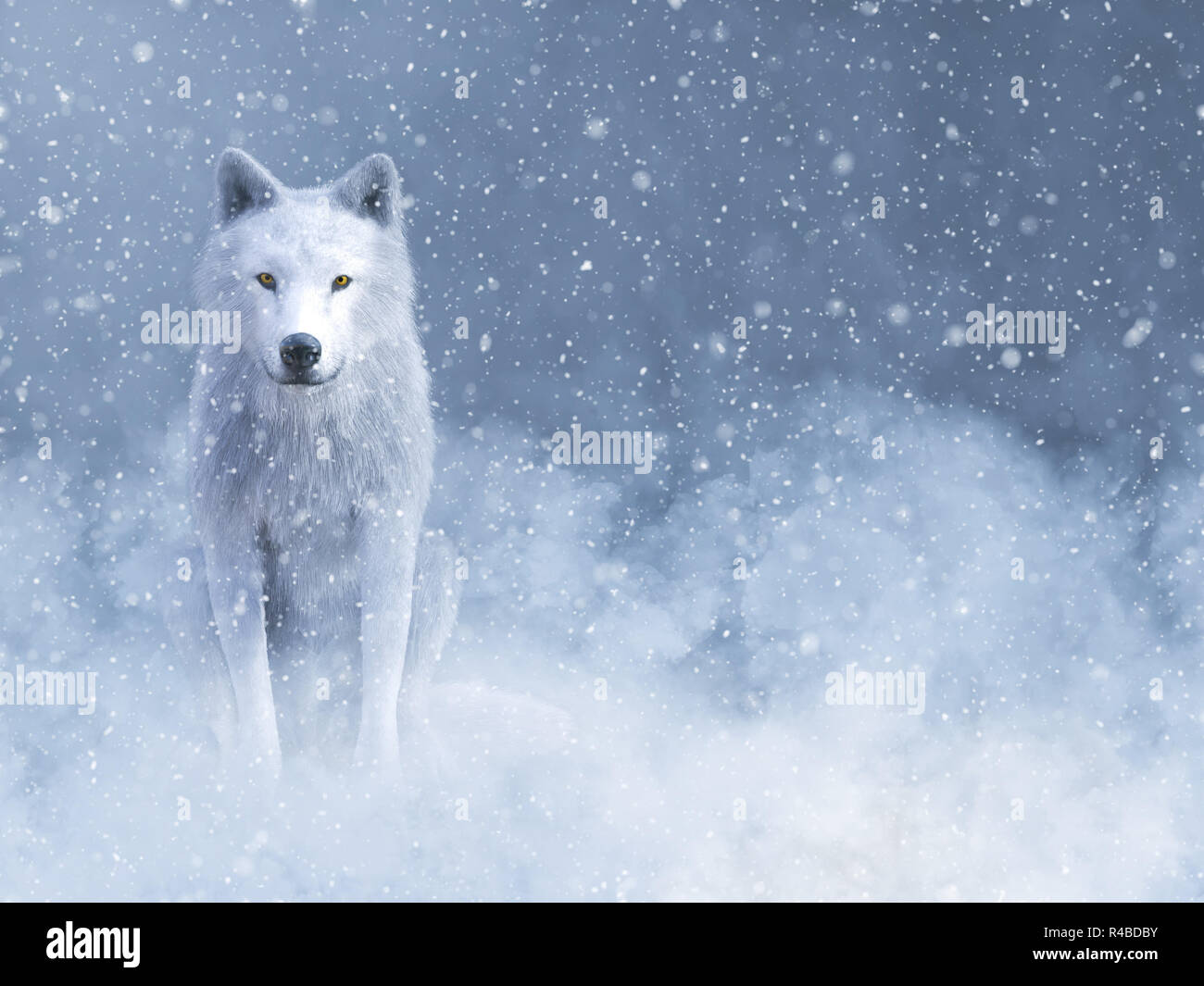 White Wolf High Resolution Stock Photography And Images Alamy