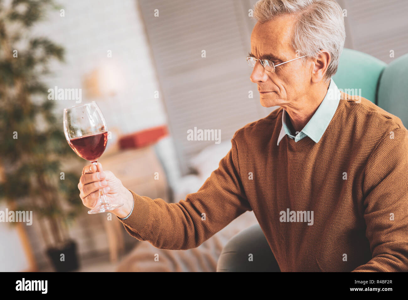 Wine expert. Professional wine expert feeling engaged in looking at