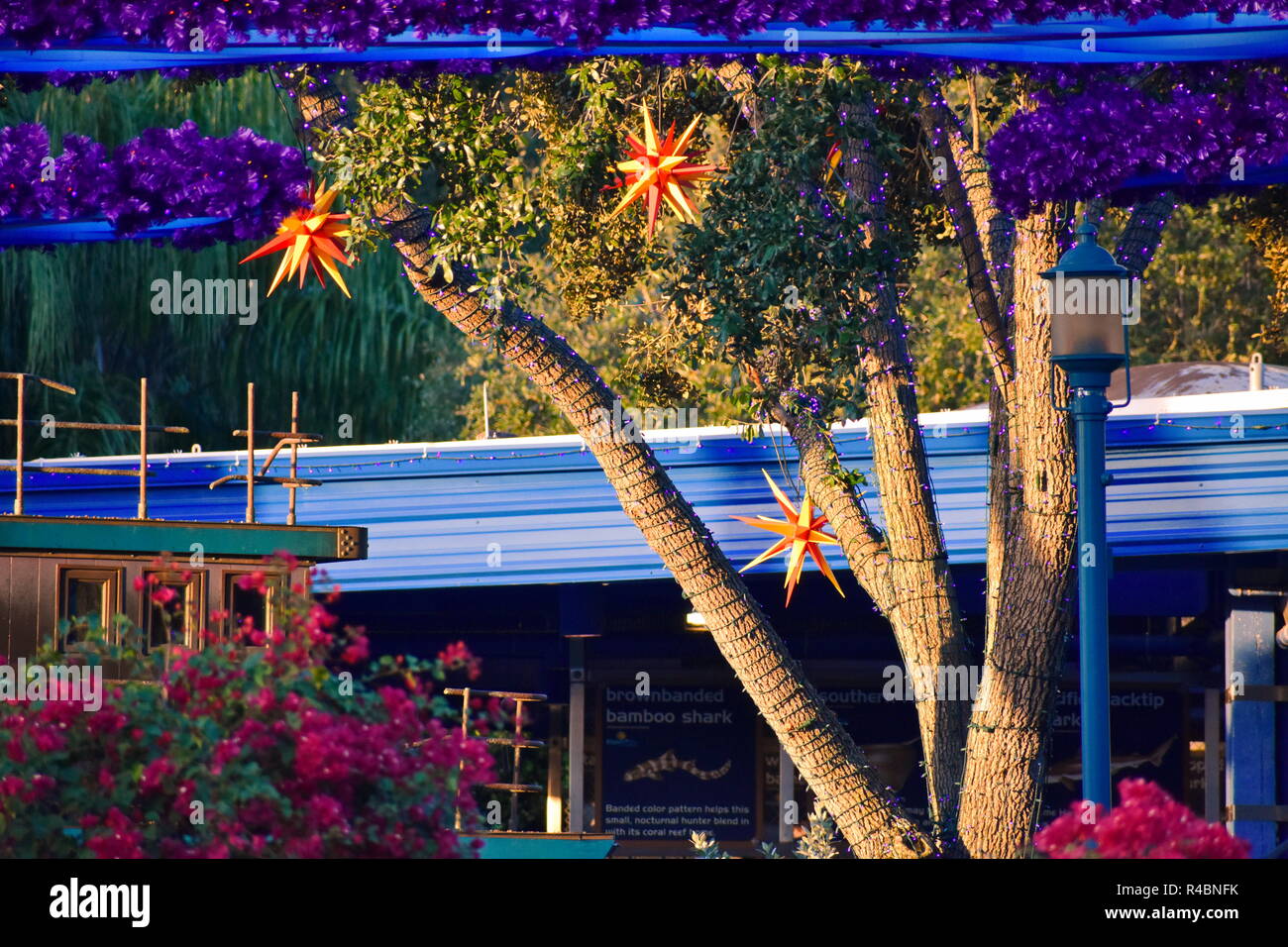 Orlando, Florida. November 19, 2018. Beatiful tree with Christmas