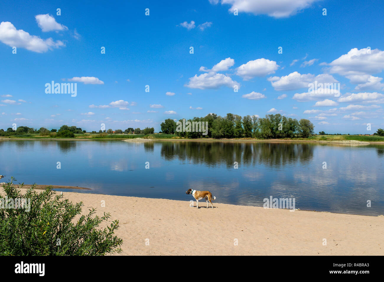 ELBE THE PRIDE OF GERMANY RIVERS visual data 6