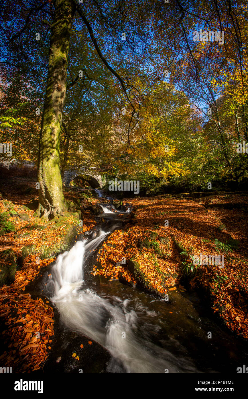 Cloghleagh Glen in Wicklow Mountains National Park Stock Photo