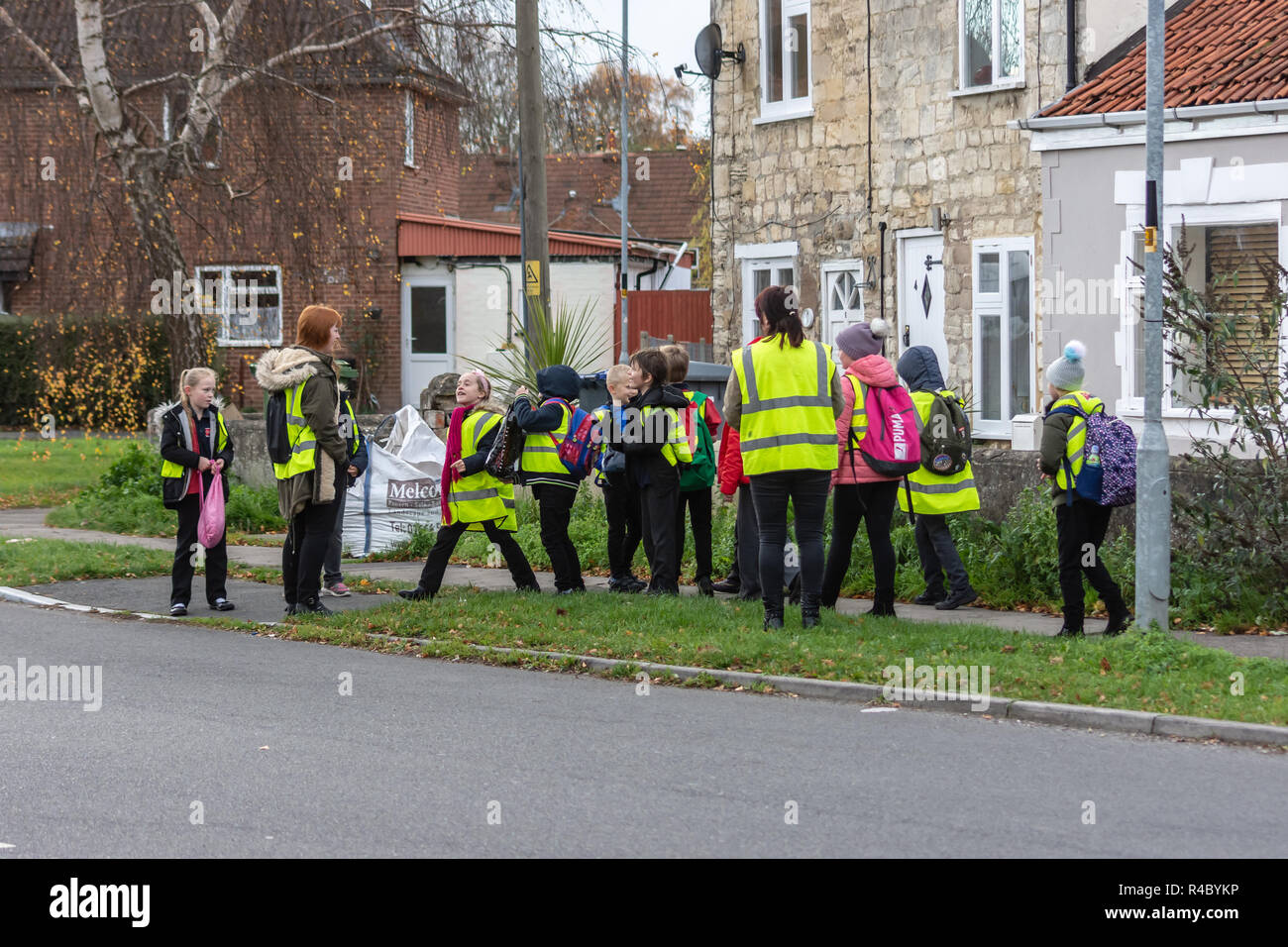 A 'walking bus' group of primary school children with 2 adult supervisers all in hi viz vests on the way home from school in the afternoon. Stock Photo