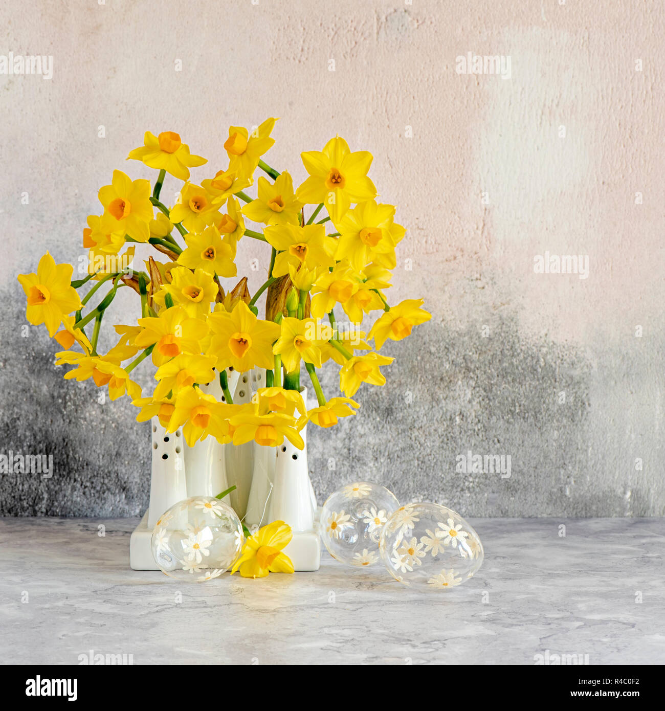 Close-up, still-life image of the beautiful spring flowers of Narcissus 'Tete-a-Tete' a dwarf Daffodil. cut flowers in white porcelain vases Stock Photo