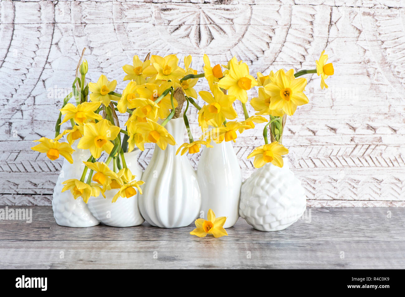 Close-up, still-life image of the beautiful spring flowers of Narcissus 'Tete-a-Tete' a dwarf Daffodil. cut flowers in white porcelain vases Stock Photo