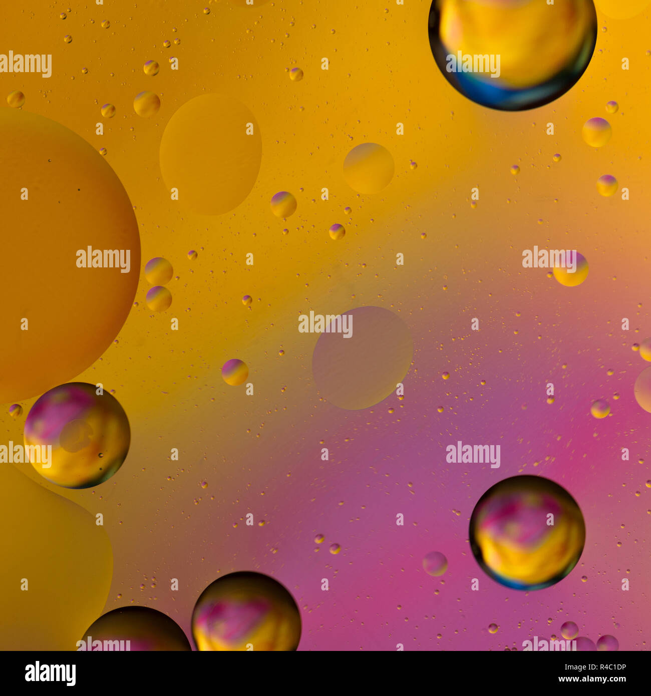 Artistic macro picture of oil droplets floating on water with a ...