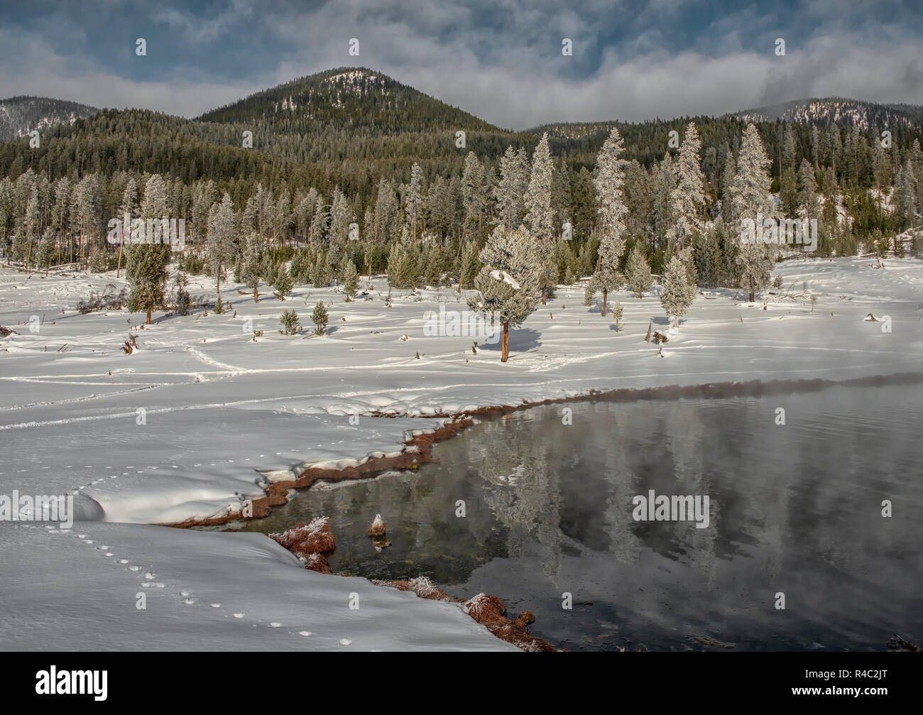 Yellowstone National Park in winter Stock Photo - Alamy