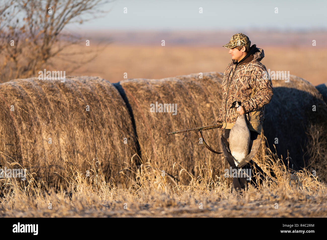 A hunter with a lesser Canada Goose in Kansas Stock Photo Alamy