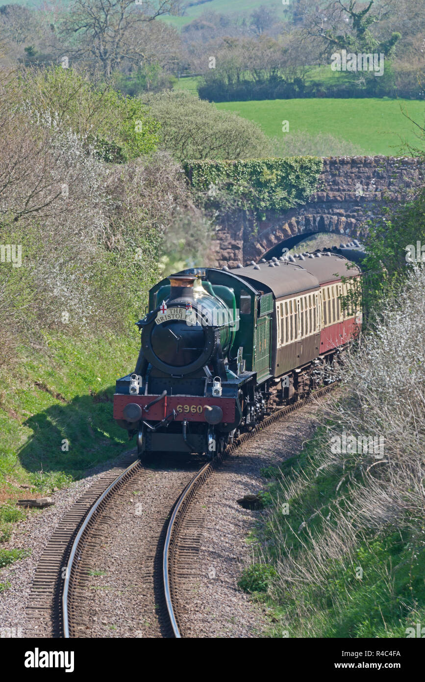 Steam locomotive 6960 Raveningham Hall pulling The Bristolian at Cottiford Bridge on its way towards Minehead on the West Somerset Railway. Stock Photo