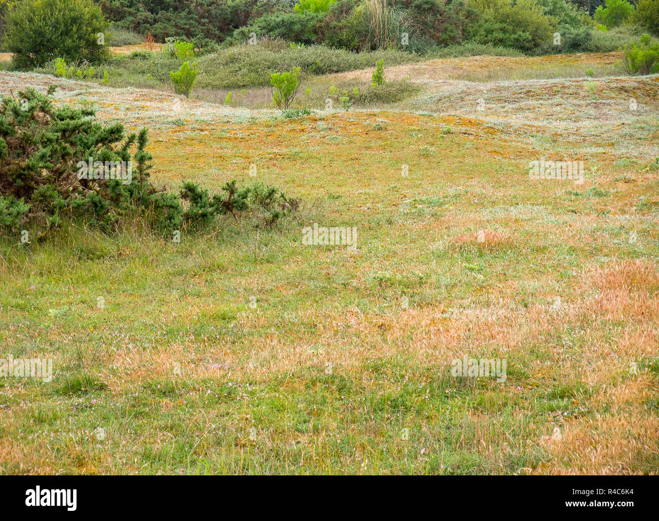 breton landscape detail Stock Photo