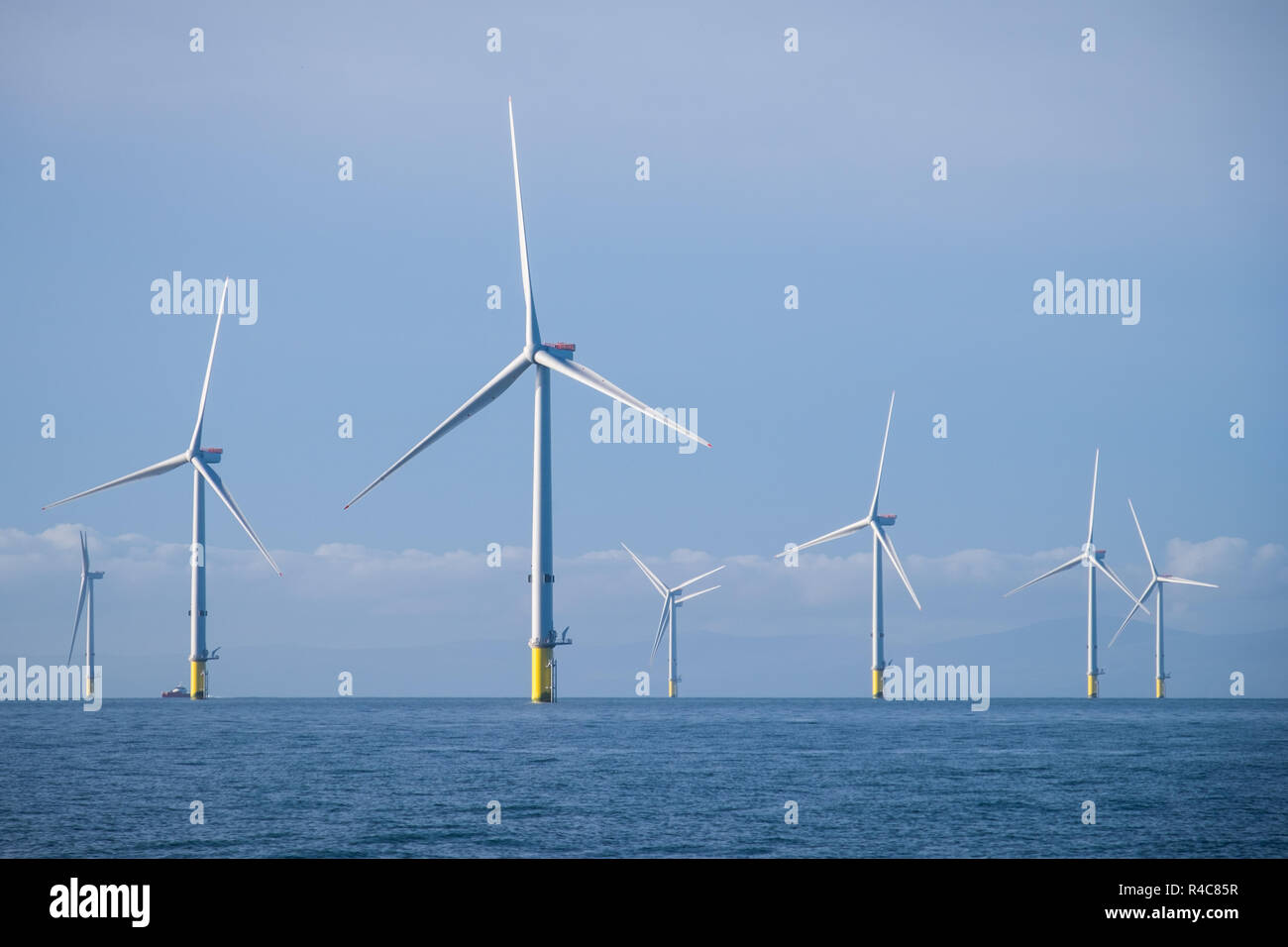 MHI Vestas V164-8.0MW wind turbines on the Walney Extension Offshore wind farm, the world's largest offshore wind farm. The turbines are one of the mo Stock Photo