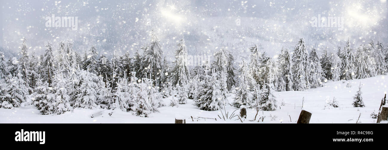 Winter landscape with snowy fir trees Stock Photo - Alamy