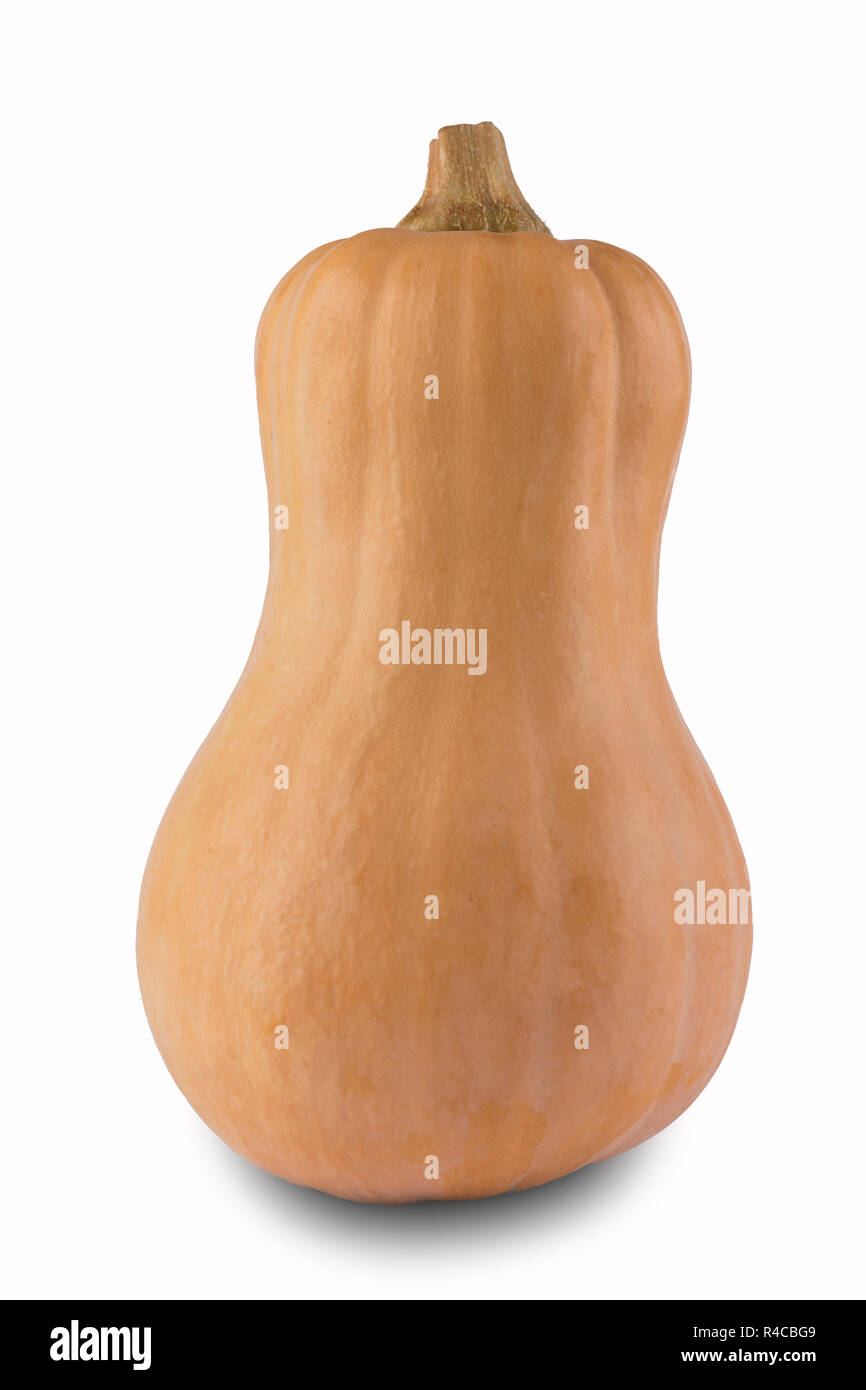 Orange pumpkin isolated on white background Stock Photo - Alamy
