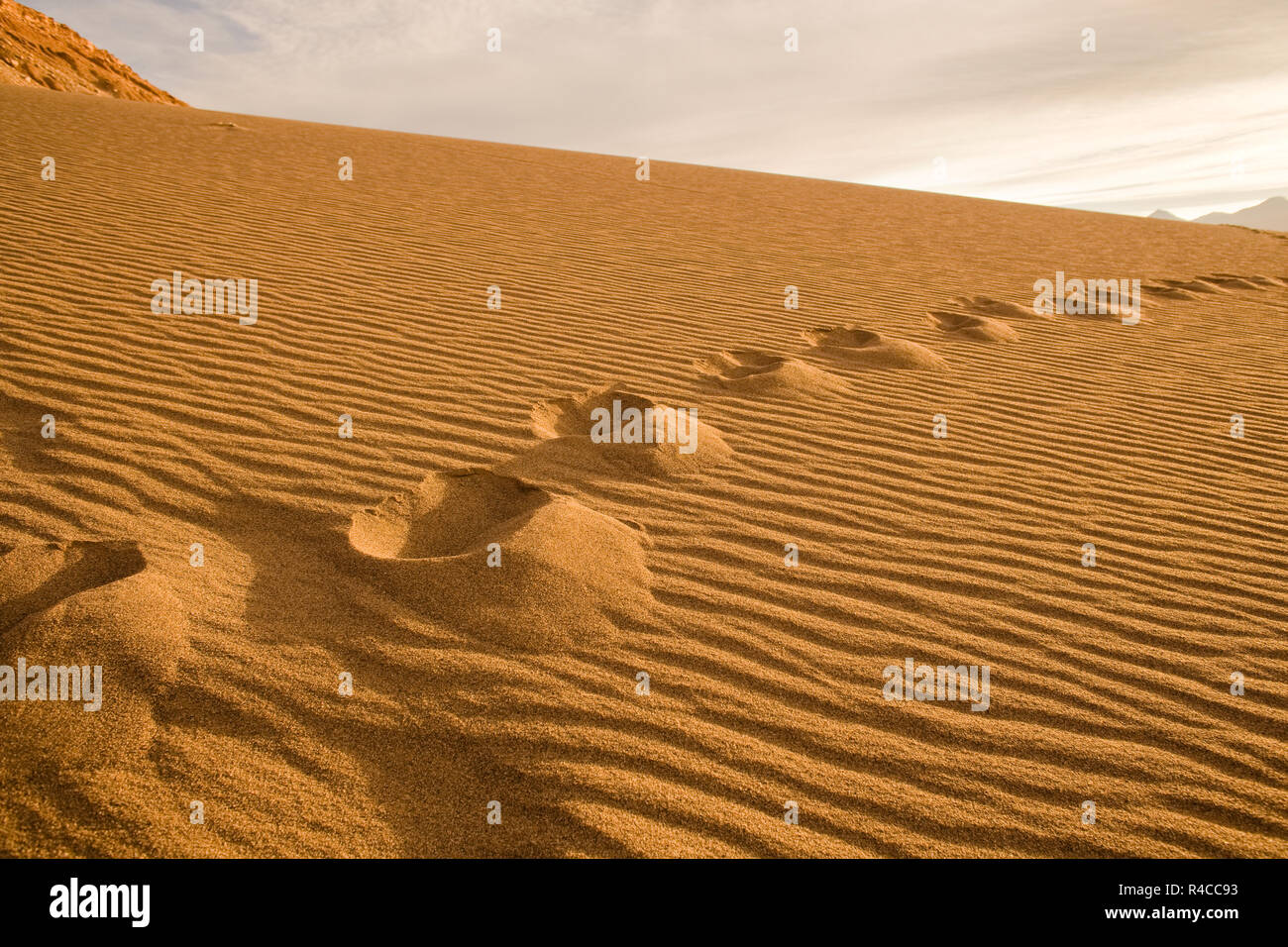 dune tallister boot
