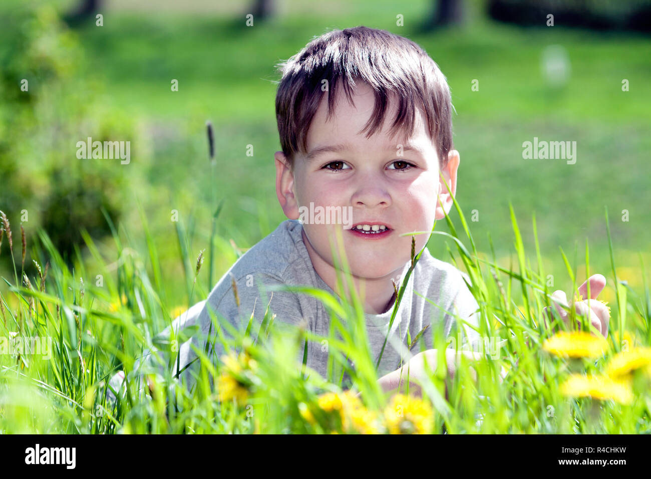 Portrait of a happy little boy in the park Stock Photo - Alamy